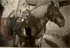 Kind auf Pferd Alter Weg um 1956